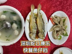 -蛇口康乐快餐鱼仔档(翠苑小区店)