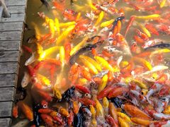 -泰安地下龙宫景区