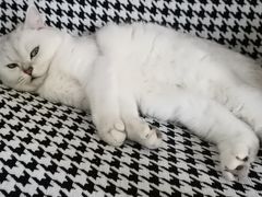 -宠颐生动物医院·小陆分院