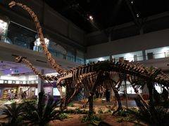 -自贡恐龙博物馆