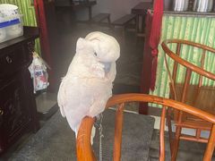 -四海楼(如皋定慧禅寺店)