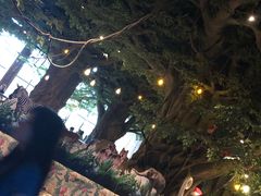 -杭州开元森泊度假乐园