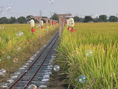 -嘉北郊野公园