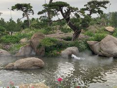 -罗红摄影艺术馆