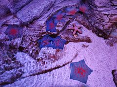 -沈阳海洋探索中心