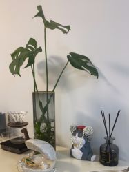 -美肤盾祛痘·问题肌头疗管理中心