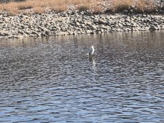 -九曲溪竹筏码头