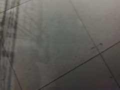 -物美超市(通州华业玫瑰店)