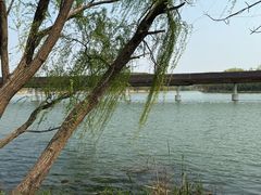 -昆山城市生态森林公园