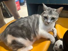 -谜盒子奇幻密室(南屏店)