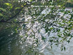 -芒洲湿地公园