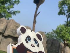 -上海野生动物园