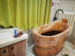 点击看大图 -薇薇安花系SPA