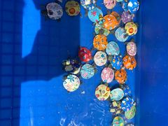 -秦美花卉(天朗·莱茵小城2期店)