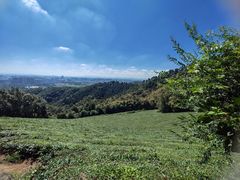 -敬亭山风景名胜区