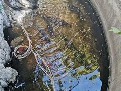 -双廊杨记石锅鱼石锅牛肉