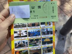 -朝阳公园游乐园