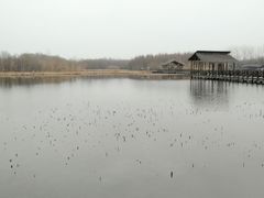 -溱湖国家湿地公园