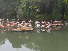 -宁波野生动物园