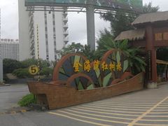 -北海金海湾红树林生态旅游区