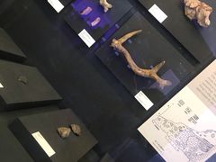 -北京周口店北京人遗址博物馆