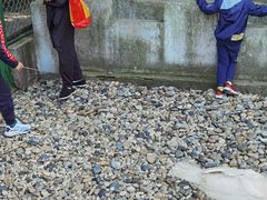 -南京金牛湖风景区