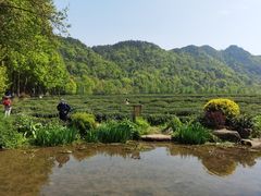 -中国茶叶博物馆(双峰馆区)