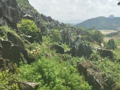 -玉石林风景区