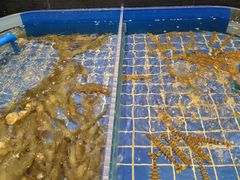 -渔歌雅宴·渔鲜烤鸭(北京西站店)