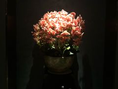 -璞·澐间影院式足道SPA(尚悦湾店)