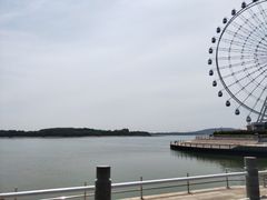 -琴岛之星摩天轮