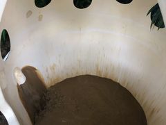 -100蛋泥浆浴