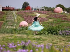 -空港花田景区