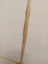 -北京市朝阳区妇幼保健院(南院区)