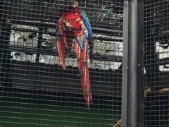 -新加坡飞禽公园