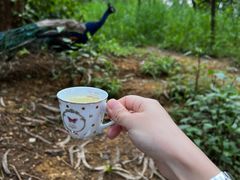 -云南野生动物园