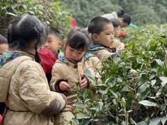 -尼恩博顿幼儿园(两江新区园)