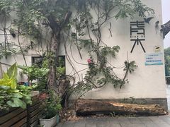 -日出青木