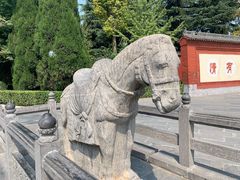 -洛阳白马寺