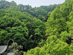 -巴倒烫陆派重庆火锅(南山店)