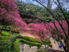 -重庆彩云湖湿地公园