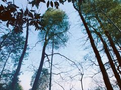 -西湖风景区十里琅珰-五云山