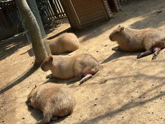 -宁波野生动物园