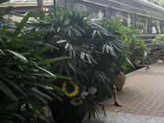 -火车头法国西餐厅