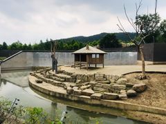 -上方山森林动物世界