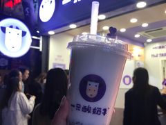 -一只酸奶牛(八一路店)