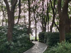 -黄兴公园