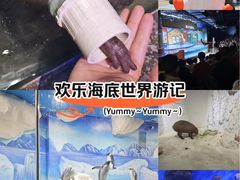 -重庆欢乐海底世界