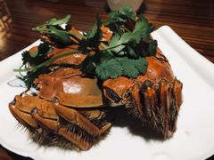 -呼吸森林·生态农庄农家乐私房菜