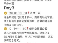 -日照海滨国家森林公园